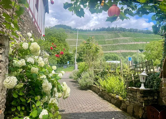 Minnies-schiefertraum * 브라운버그